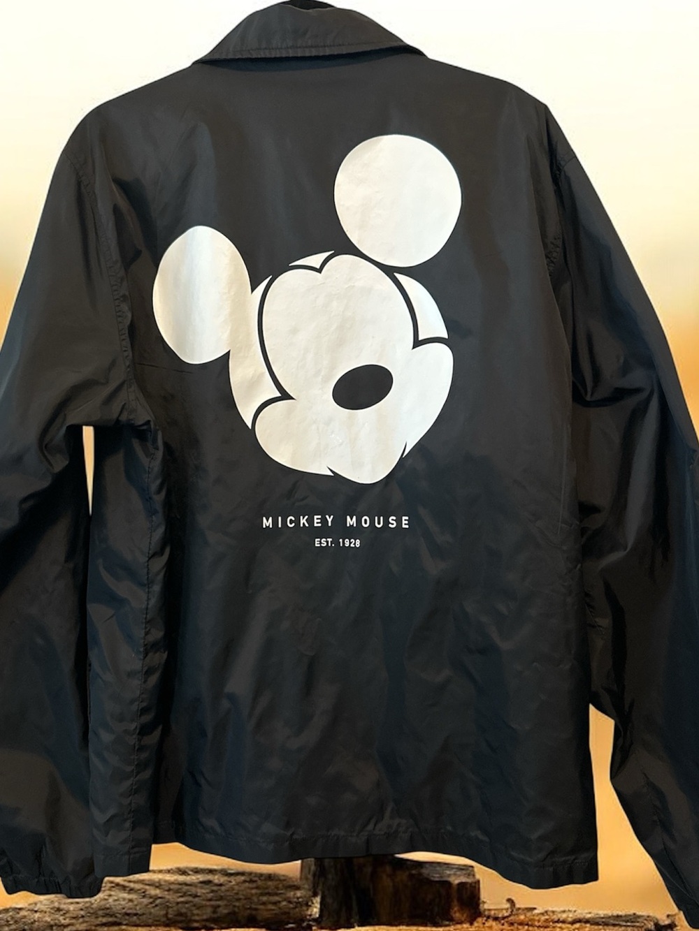 Neff x Disney Mickey Mouse windbreaker w/ a large graphic of Mickey on the back